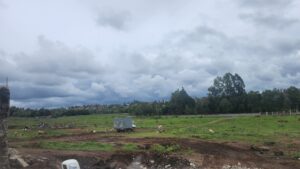 Wall Construction Services